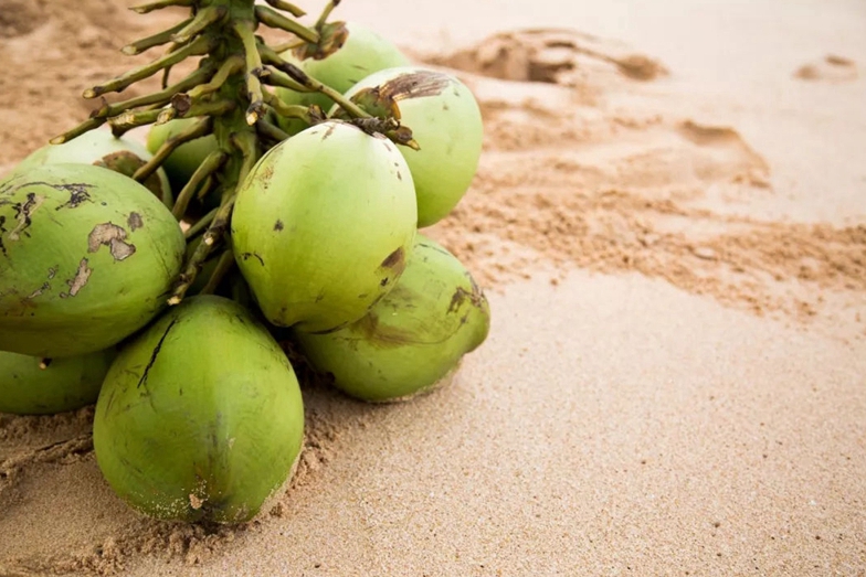 斯裏蘭卡人舌尖上的味道 6種街頭小吃