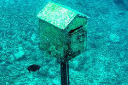 瓦努阿圖遺世天堂 | 來自深海的水下郵局