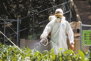 本地登革熱一天四宗 區域分散恐大爆發