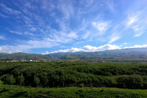 雅礱林卡濕地公園 甘孜縣美麗新名片