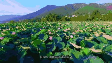 02.gif