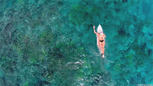 4ed596cc3d7e43f5a7d0f9809fb0784a.gif