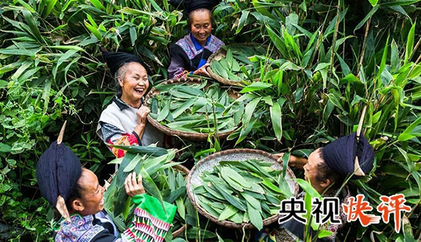 CCandicexu_c5301027a2aa0e14e0f1cac356c073a9.jpg