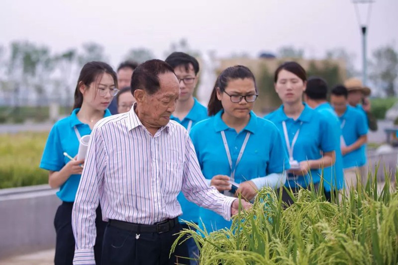 迪拜酋長看上袁隆平這項研究 要在沙漠建綠洲