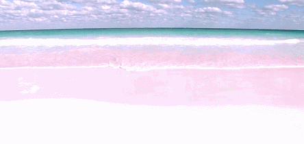 243a170c4e5746bf863a3839f93f8654.gif