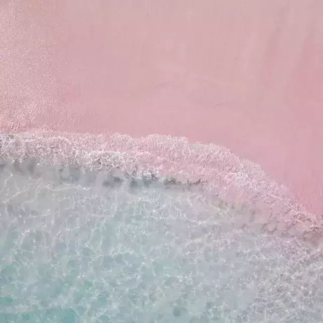 7775364300e04366b18398d6d3e4affd.jpg