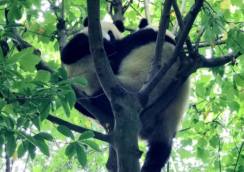 微信图片_20180704143803.jpg