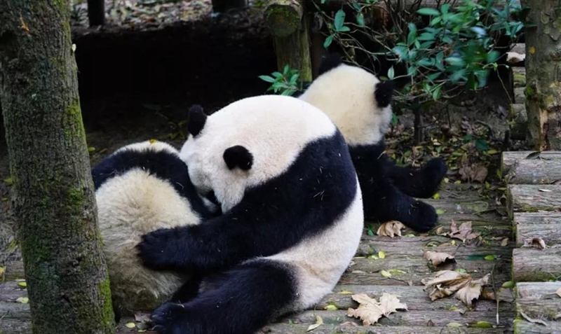 微信图片_20180704143821.jpg