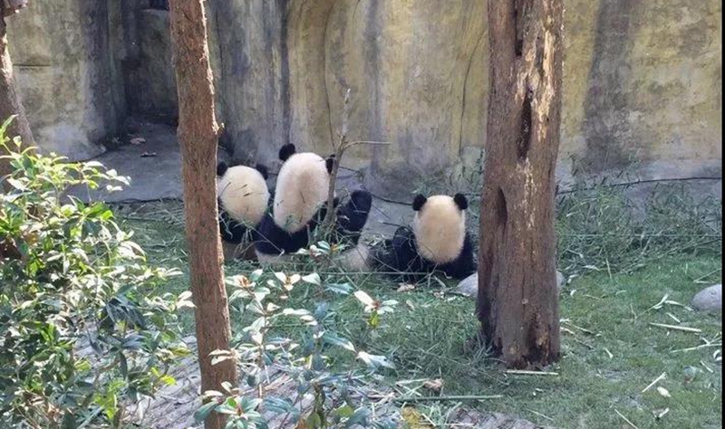 微信图片_20180704143828.jpg