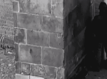 a49abe21e5114559aea66b5a96ff31cf.gif