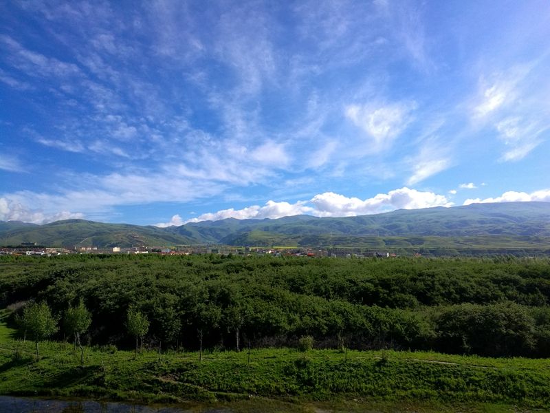 甘孜县雅砻林卡湿地公园.jpg