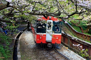 6月旅台遊客增幅下滑