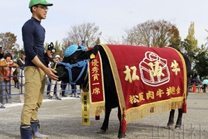 日本三重縣拍出2600萬日元高價牛