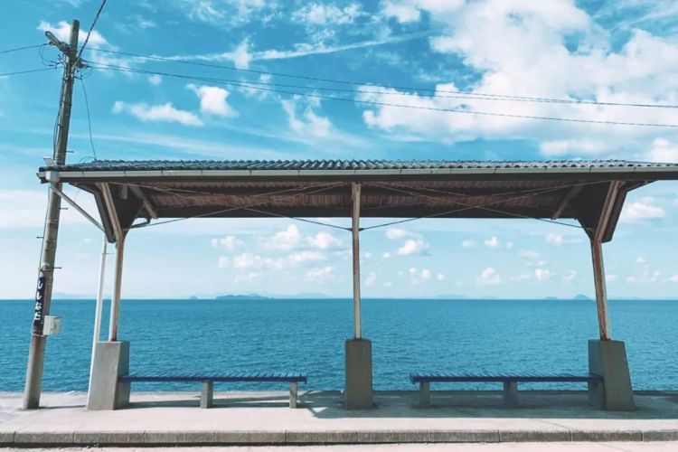 1548054149854567.jpg 5c43d1bb7aa22.jpg