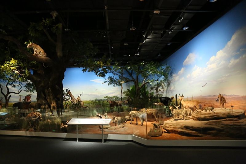 展厅 (2).jpg