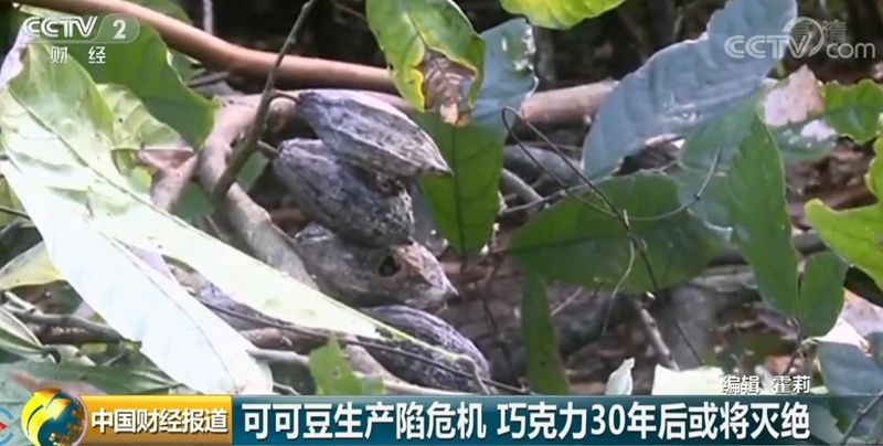 QQ浏览器截图20190218104910.jpg