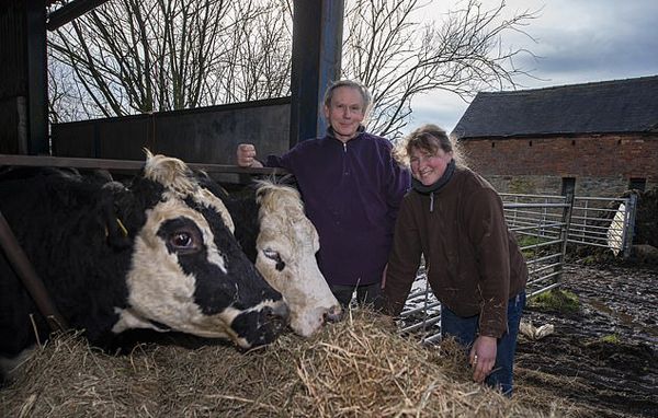 1550908393737264.jpg 5c70a455c0041.jpg