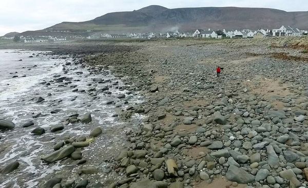 1550997933527840.jpg 20190114031825690.jpg