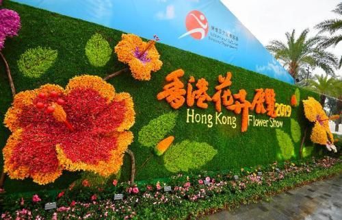 1552707685688180.jpeg 86d6277f9e2f0708f35926d669c33c9dab01f2f0.jpeg