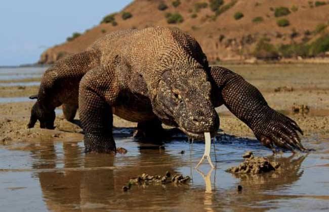 1554345989892360.jpg timg (1).jpg