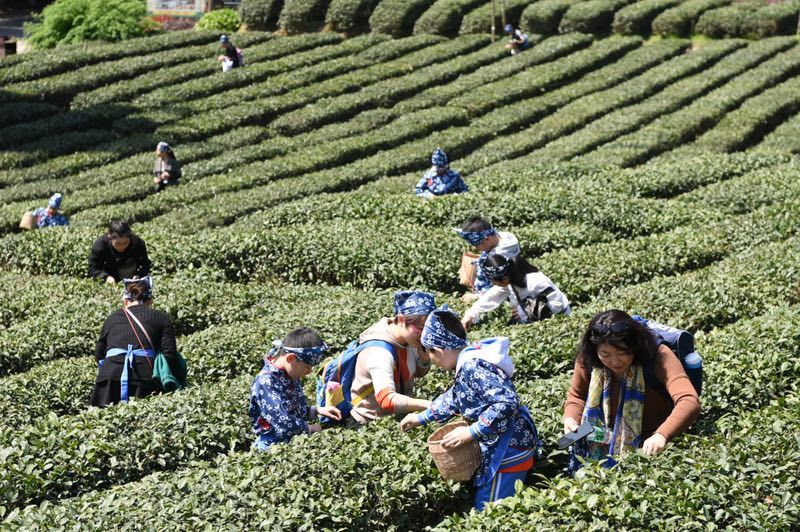 1554705343792545.jpg 微信图片_20190408143349.jpg