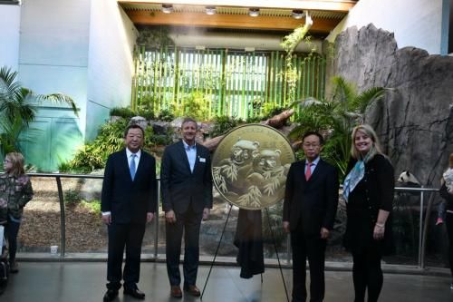 1556259396176998.jpg 1.jpg