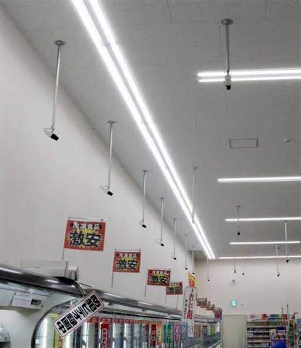 1558335020724673.jpg 10206317_316851.jpg