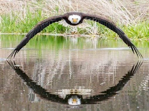 1558840250300429.jpg 2879025646534da09462cdfded8afb32.jpg