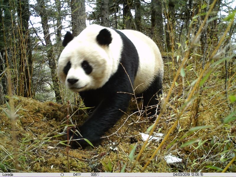 1560753970206028.jpg 4.jpg