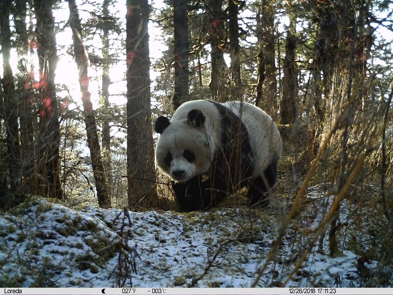 1560754005895668.jpg 5.jpg