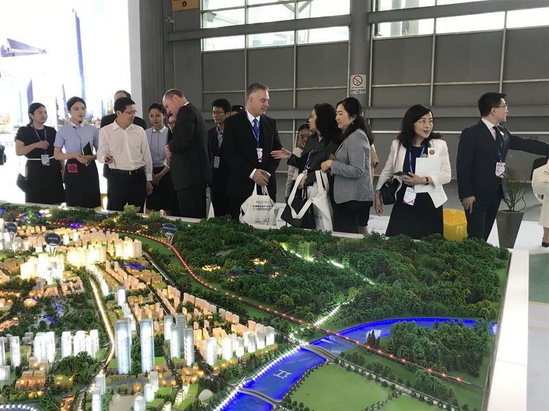 1560765254623002.jpg 8.jpg