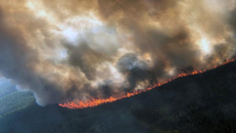 1562124577116603.png 5d1af9234bf9b-1024x576.png