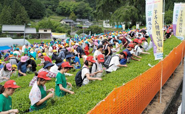 MAIN201907090912000307960691382.jpg