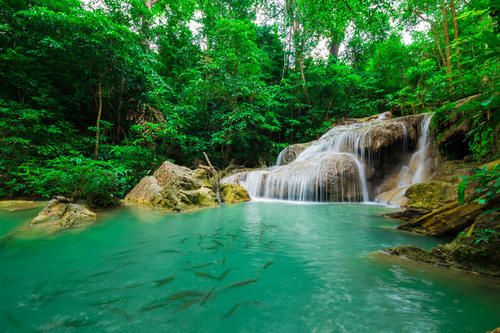 1565749049964160.jpg u=4106460262,41823696&fm=26&gp=0.jpg