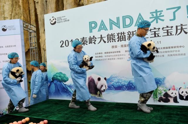 1573524083555203.jpeg 37d3d539b6003af3b5c8340400587d591138b6d8.jpeg