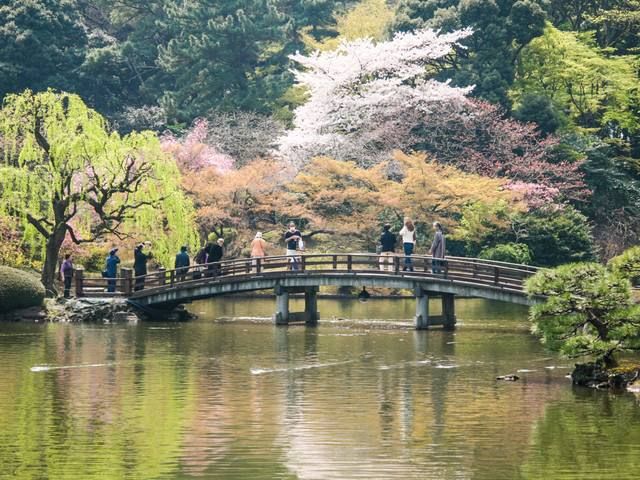 1574924022435627.jpg timg (2).jpg