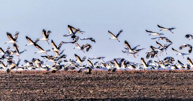 1575423911484533.jpg 20191203042459431.jpg