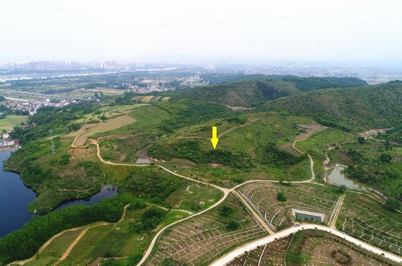 1575620831483871.jpg hudan_8fe51f35cb9980ec5da02c71317395b0.jpg