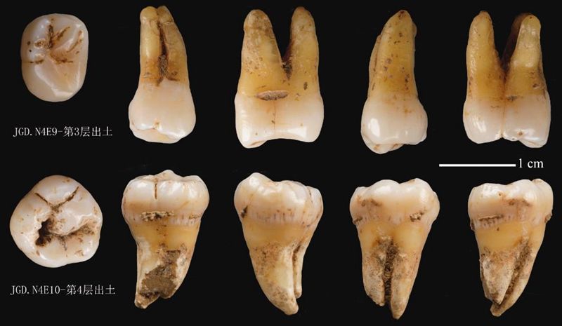 1575620909277106.jpg hudan_d85b2a0d34d0f3dfb1a710d6b8892b66.jpg