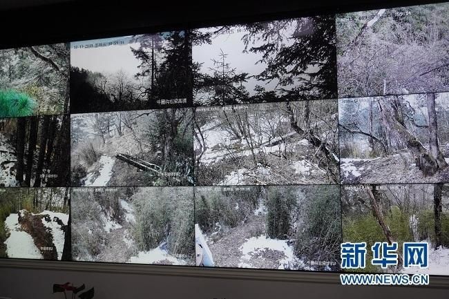 1577083256699677.jpg timg.jpg