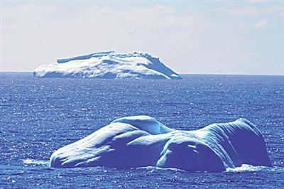 快看！南極威德爾海的冰山與鯨魚