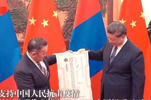 蒙古國總統向中國贈送30000只羊