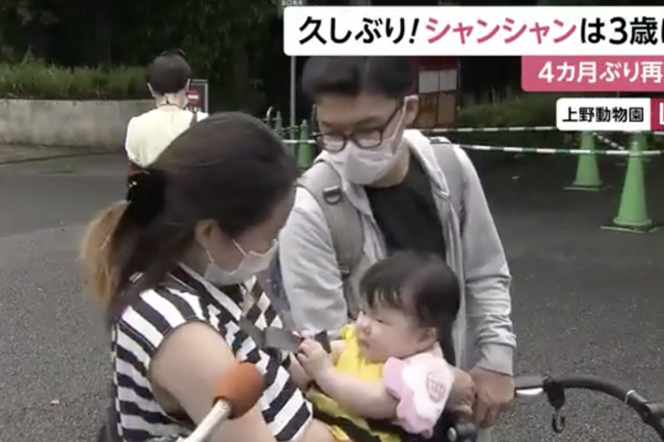 東京迪士尼重開門迎客、上野動物園為香香而滿員，日本真的躺贏安全了嗎？