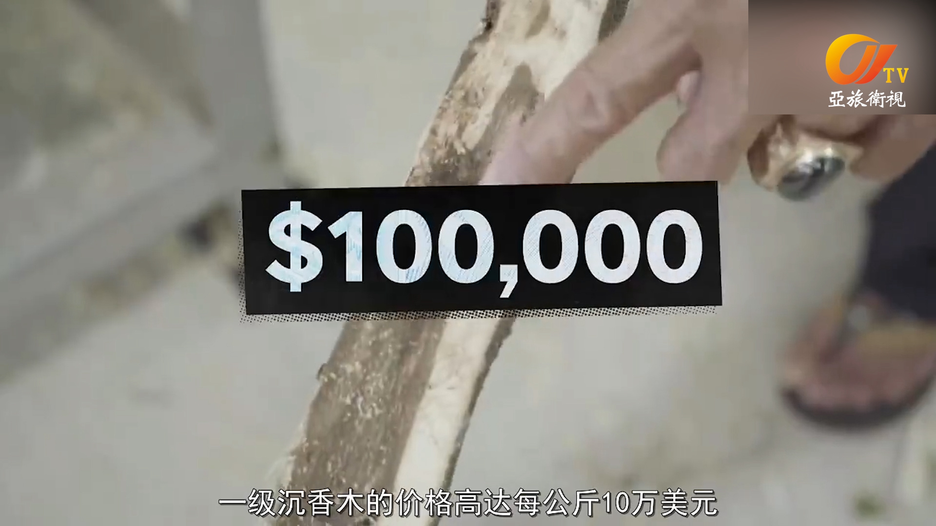 神木沉香的前世今生