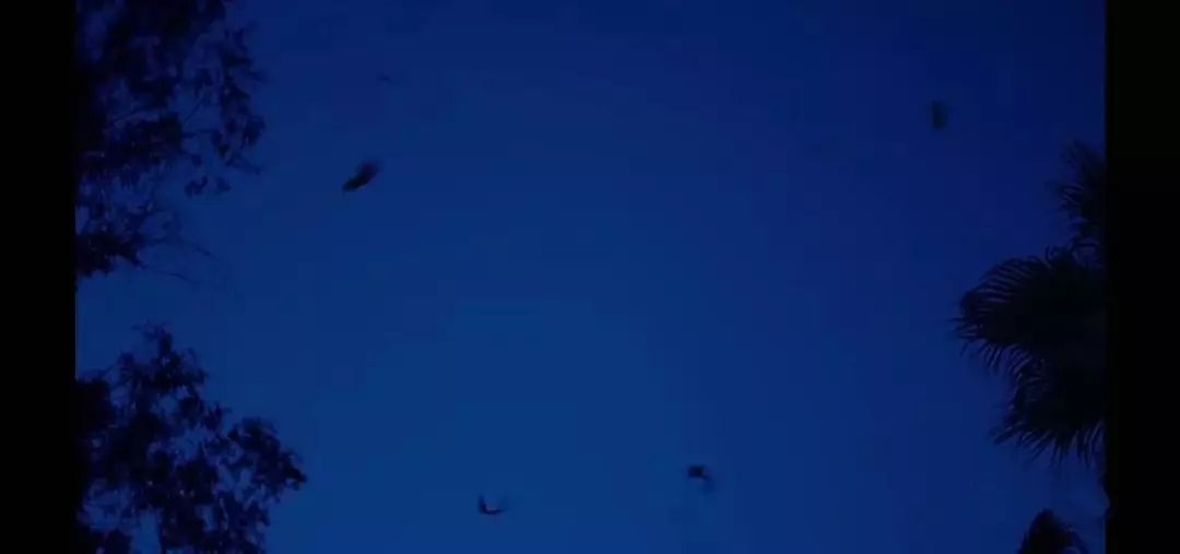 1582020693868546.jpg 640.webp (1).jpg