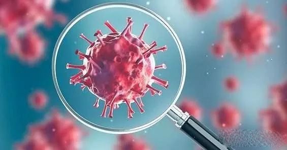 1582263145291759.jpg 640.webp (3).jpg