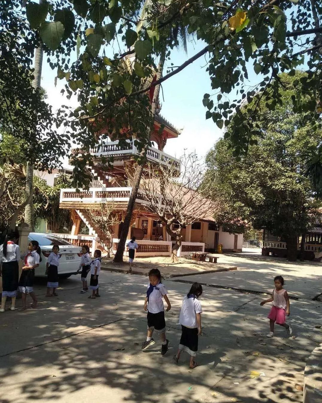 1582868574180159.jpg 微信图片_20200228134115.jpg