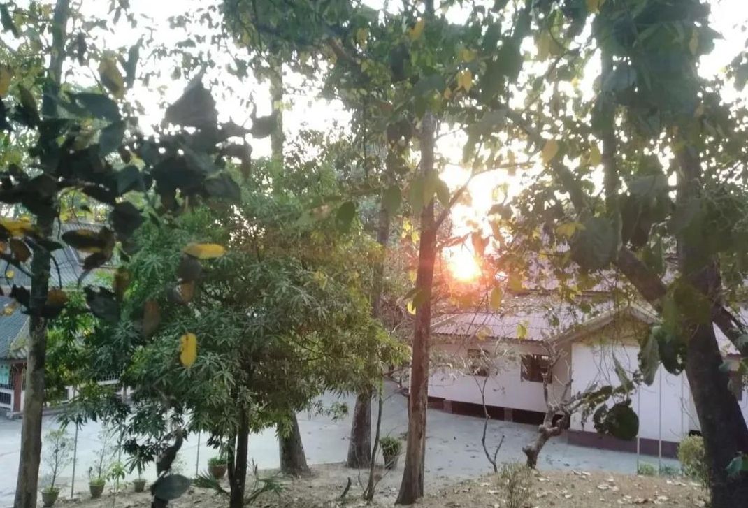 1582868593561756.jpg 微信图片_20200228134120.jpg