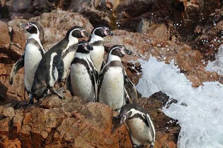 1583471767645868.jpg u=940845483,3466560505&fm=26&gp=0.jpg