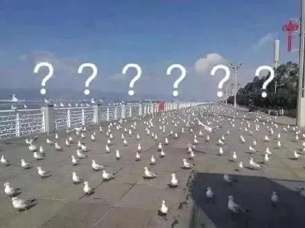 1583473661113469.jpg 微信图片_20200306134438.jpg